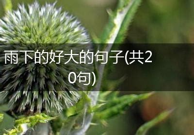 雨下好大|雨下的好大全部小说作品,雨下的好大最新好看的小说作品